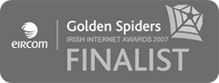 Golden Spiders Awards 2007 Finalist